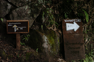 On the Machu Picchu Trail to Waynapicchu, Peru, Photographed by Gwendolyn 
Stewart, c. 2013; All Rights Reserved